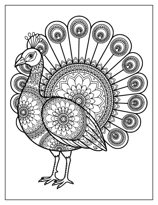 Peacock facing left before an open fan, a large flower medallion on its chest, mandala