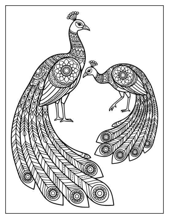 Two peacocks of different sizes greeting beak to beak with long patterned trains, coloring sheet