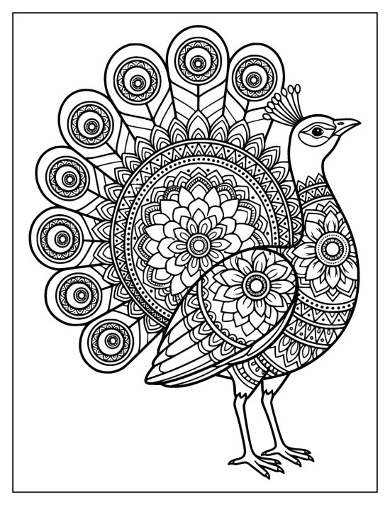 Peacock with beak raised in front of a fan centered on a large layered medallion