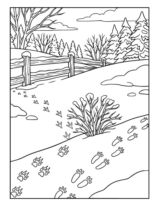 A wooden five bar gate deep in snow with a frost furred spider web strung between its bars on a coloring page