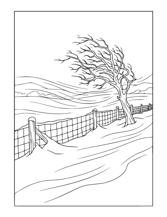 Wind driven snow streaming across an open field and drifting against a fence beside a leaning thorn tree on a coloring sheet