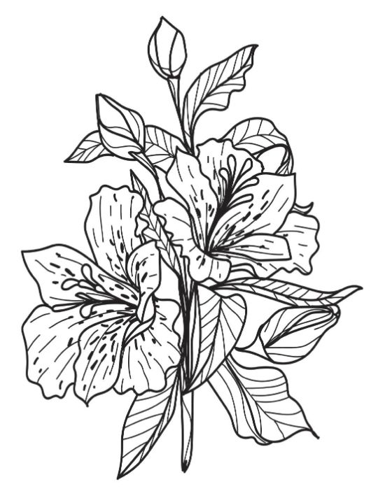 Flowering plant with two large lilies and a budding flower coloring page.