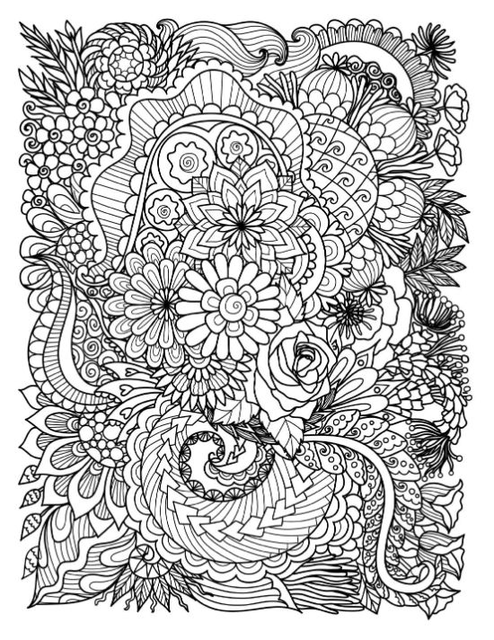 Intricate floral and botanical motifs fill this detailed adult coloring page.