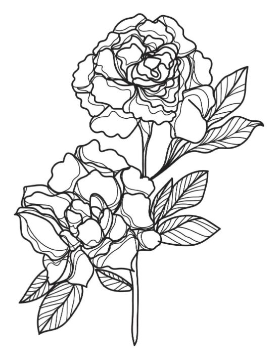 Two beautiful peony flowers with detailed petals and leaves coloring page.