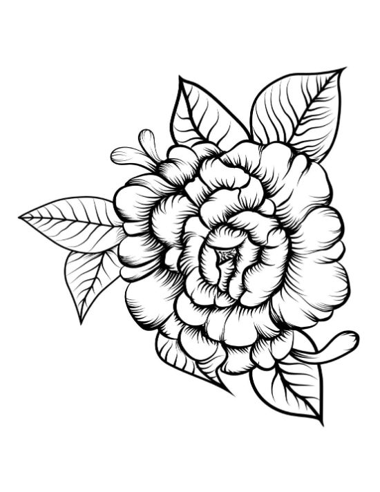 A lush, detailed rose with swirling petals and various leaves coloring page.