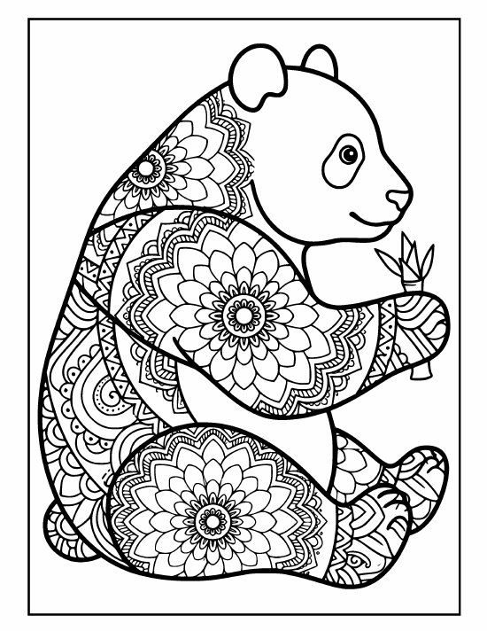 Sitting panda holding a small bamboo shoot, clear face, bold rings, mandala