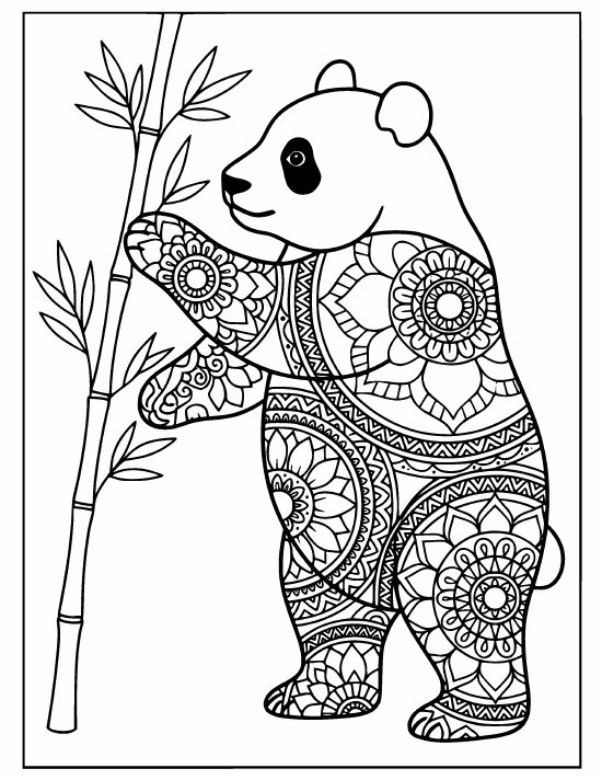 Standing panda reaching up toward a tall bamboo stalk, soft face, mandala
