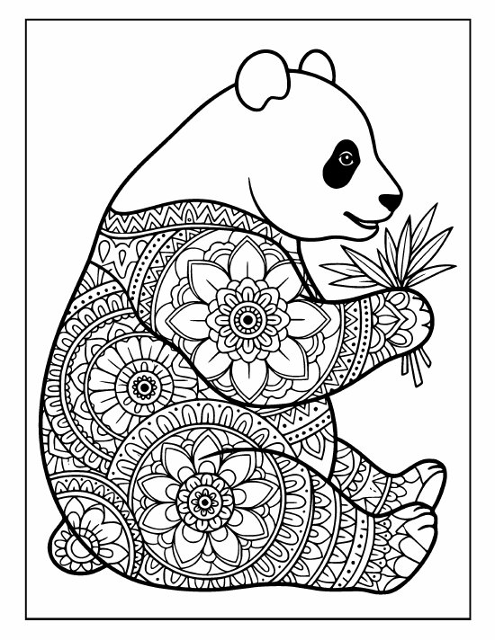 Sitting panda holding a fan of bamboo leaves, soft face, large rings, mandala