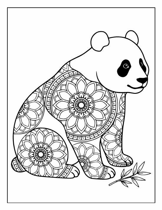 Sitting panda with a bamboo sprig on the ground, soft face, big rings, mandala
