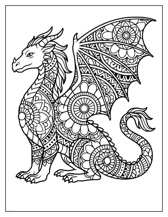 Dragon sitting with a clear face and mandala medallions on the wing, mandala