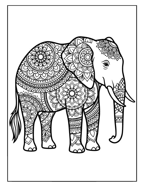 Profile elephant with head turned and a relaxed trunk over patterned legs, mandala