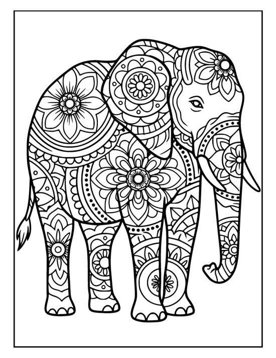 Elephant with trunk curled under and tail flicking over petal medallions, mandala