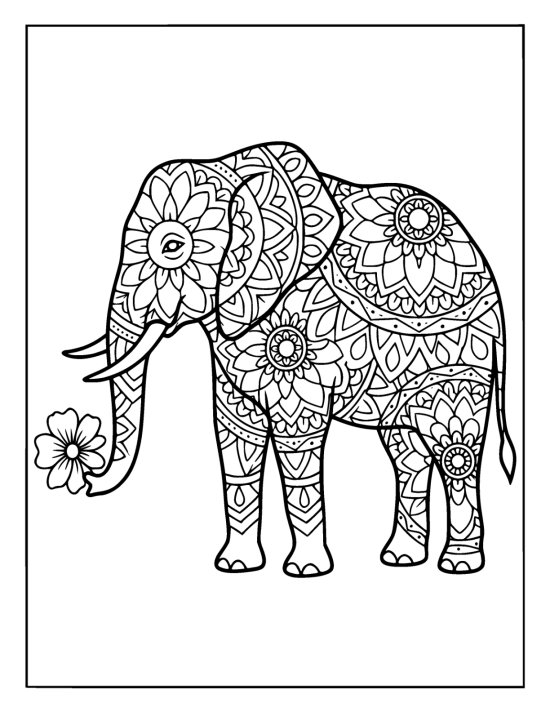 Elephant reaching its trunk toward a flower blossom with bold medallions, mandala