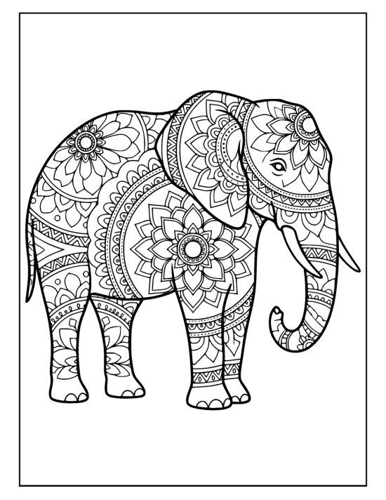 Elephant with trunk curved up beside a tusk and patterned ears and legs, coloring page
