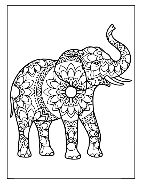 Elephant with trunk raised in a wide arch and a large central medallion, coloring page