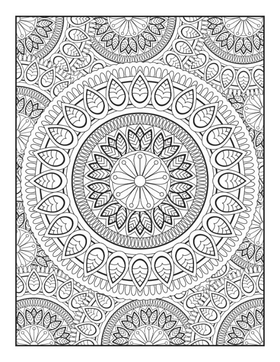 Intricate circular patterns and floral petal motifs decorate this detailed black and white adult mandala.