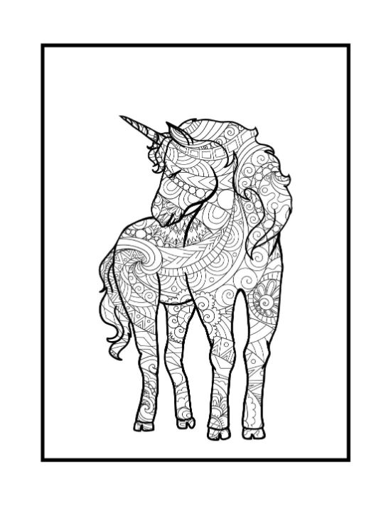 Unicorn profile filled with intricate zentangle patterns and floral motifs in a detailed coloring sheet.