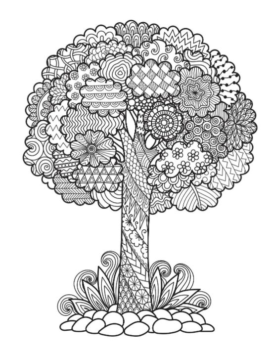 nature-coloring-pages-for-adults - Page 1