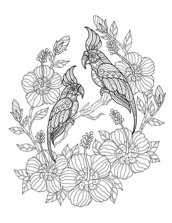 Trailing vines coloring page