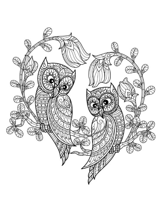 Two ornate owls perched on a heart-shaped vine with flowers, coloring page.