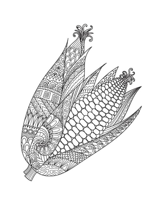 Ornate corn on the cob within patterned husks coloring page.
