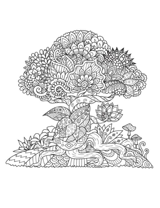 Garden edge nature page for adults