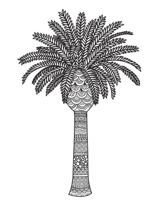 Palm tree with patterned trunk and detailed fronds coloring page.
