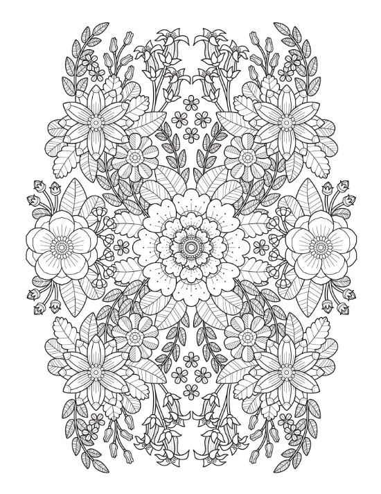 Nature scene coloring page for adults