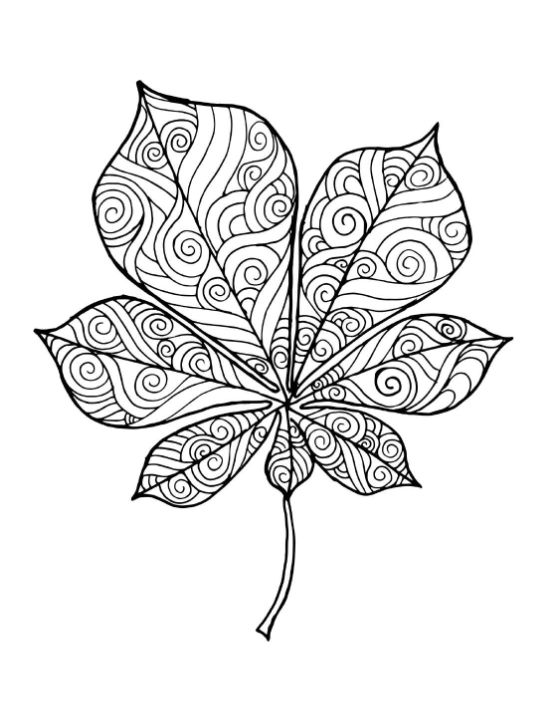 A detailed fall leaf with intricate swirling patterns and bold outlines coloring page.