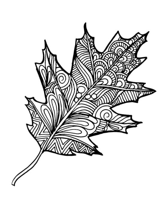 Oak leaf with intricate zentangle-inspired patterns and abstract designs coloring page.