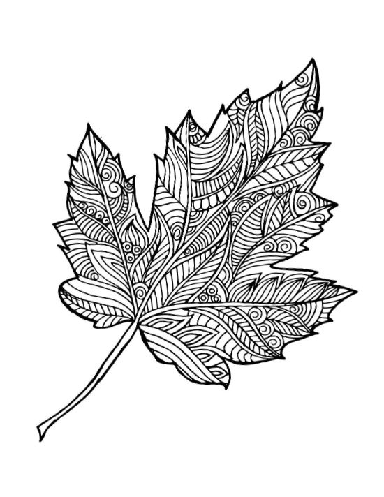 Maple leaf with intricate swirled and geometric patterns coloring page.