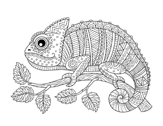 Chameleon with intricate patterns on a leafy branch coloring page.