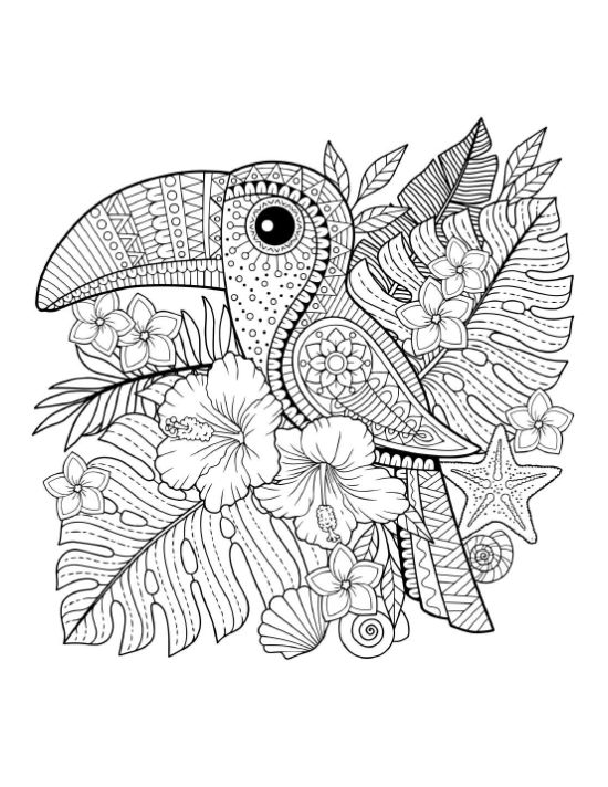 nature-coloring-pages-for-adults - Page 33