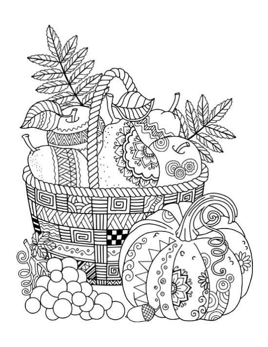 Wild branch nature page for adults