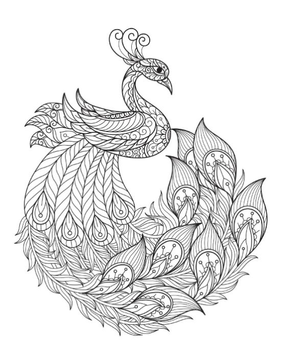 Elegant peacock with ornate feathers in a mandala-like design coloring page.