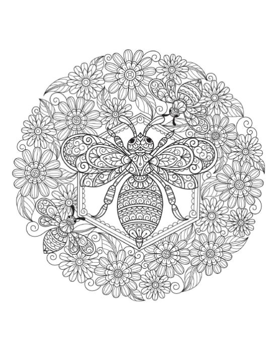 Ornate bee surrounded by a floral mandala, intricate adult coloring page.