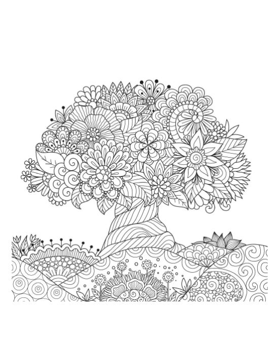 Wide open view nature page