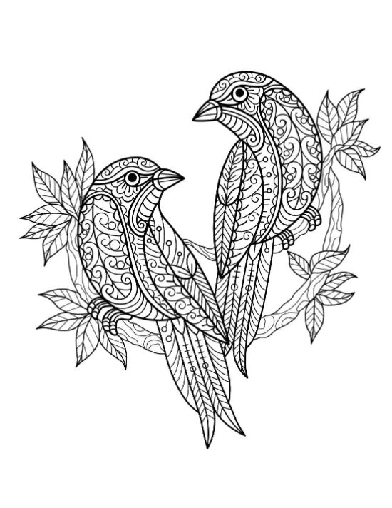 Two decorative patterned birds on a leafy branch with intricate details coloring page.
