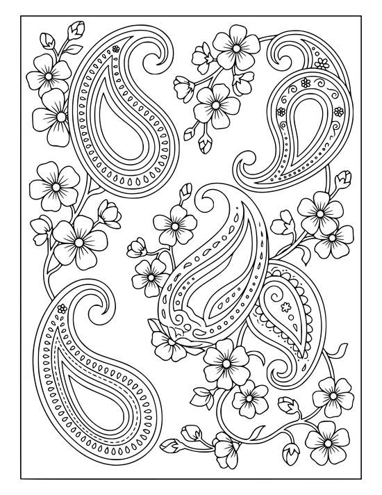 Paisley teardrops with a cluster of open five petal blossoms and buds on vines, coloring sheet