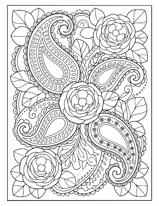 Paisley teardrops woven with three layered ranunculus flowers and rounded leaves, coloring sheet