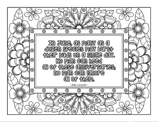 A nature quote by Aldo Leopold framed by decorative flowers coloring page.