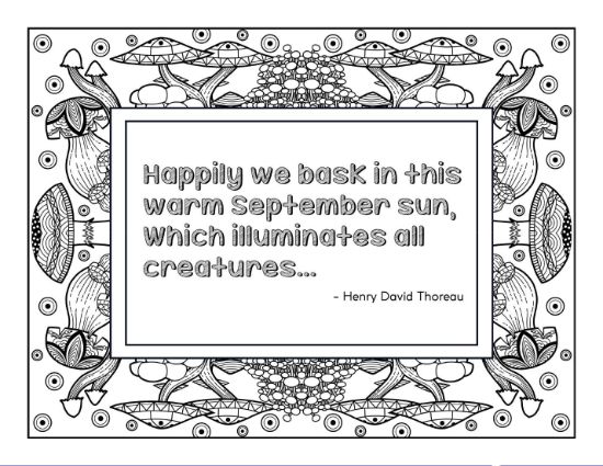 A nature-themed coloring page with mushrooms and quote by Henry David Thoreau, coloring page