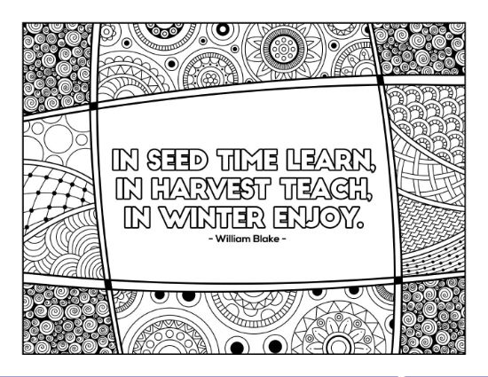A motivational quote by William Blake surrounded by diverse abstract patterns coloring page.