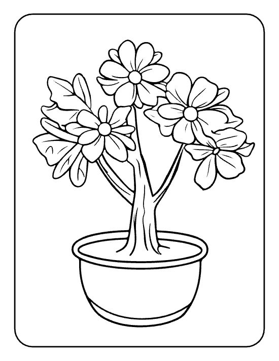 Three hydrangea like blooms on a small trunk in a round pot drawn bold and easy