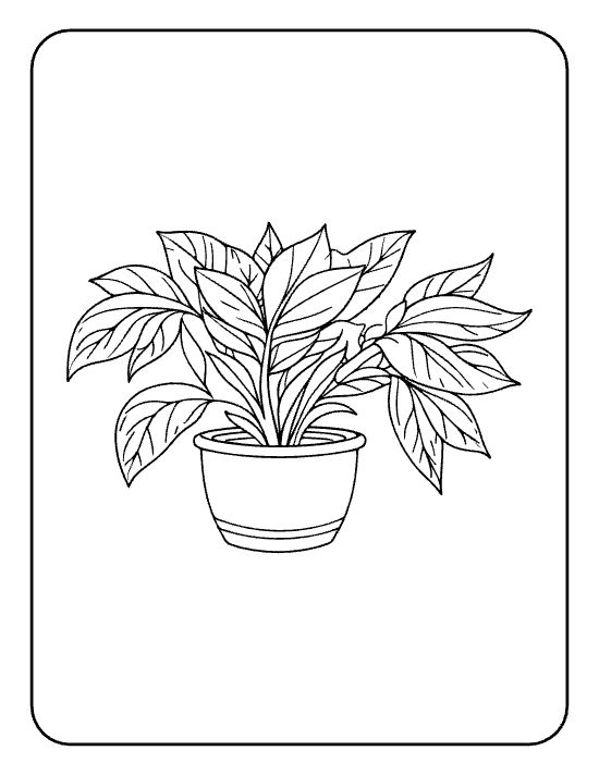Bushy plant with veined leaves rising in all directions from a round pot on a coloring sheet