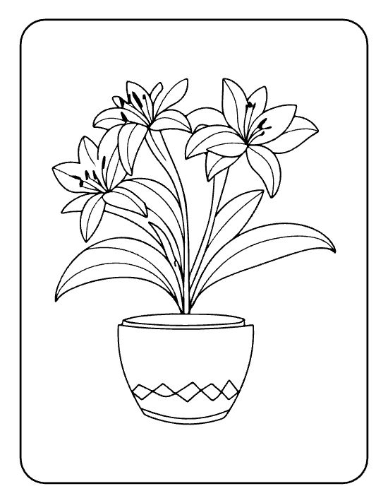 Three lily blooms with long leaves rising from a patterned pot on a flower coloring sheet