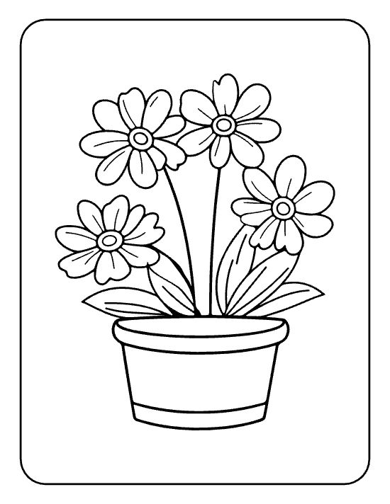 Four cheerful small daisies with long leaves crowded in a round pot on a coloring page