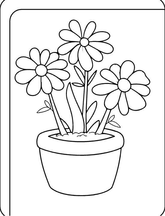 Three open daisies on tall stems with curving leaves in a small pot on a coloring page