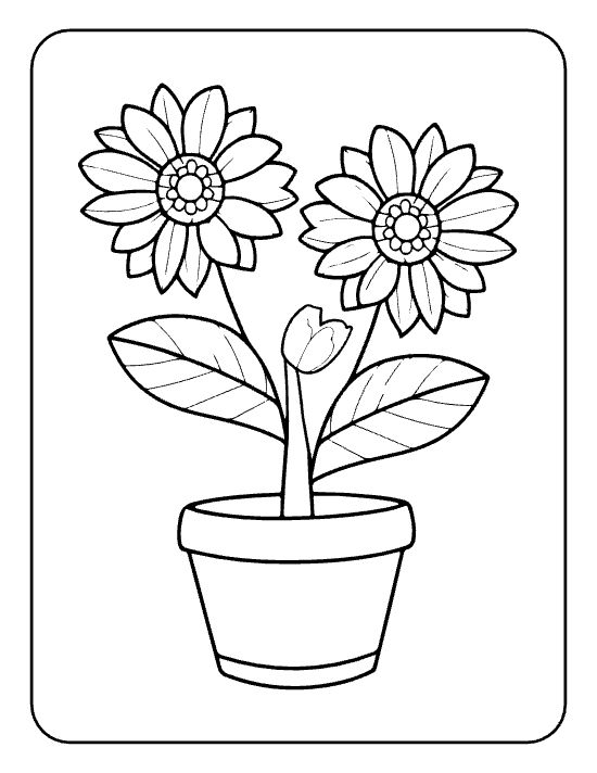 Two sunflowers and one tulip bud rising from broad leaves in a small pot on a coloring sheet