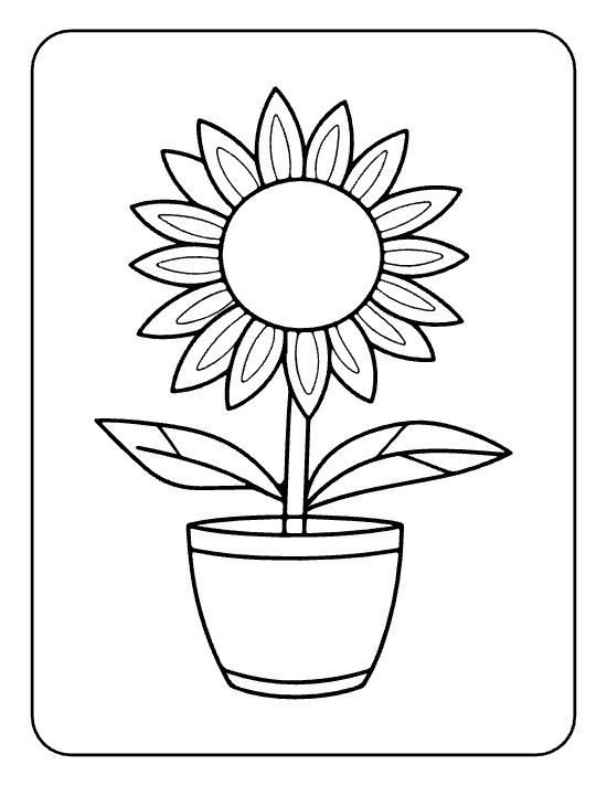 Tall single sunflower with bold petals and two leaves in a small pot on a coloring page